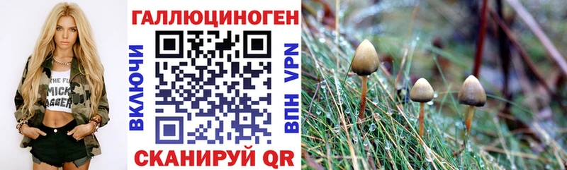 Галлюциногенные грибы ЛСД Белозерск
